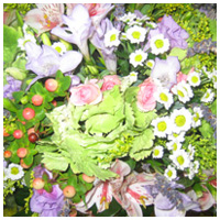 Ανθούλα Κουτσούκου - Συνθέσεις